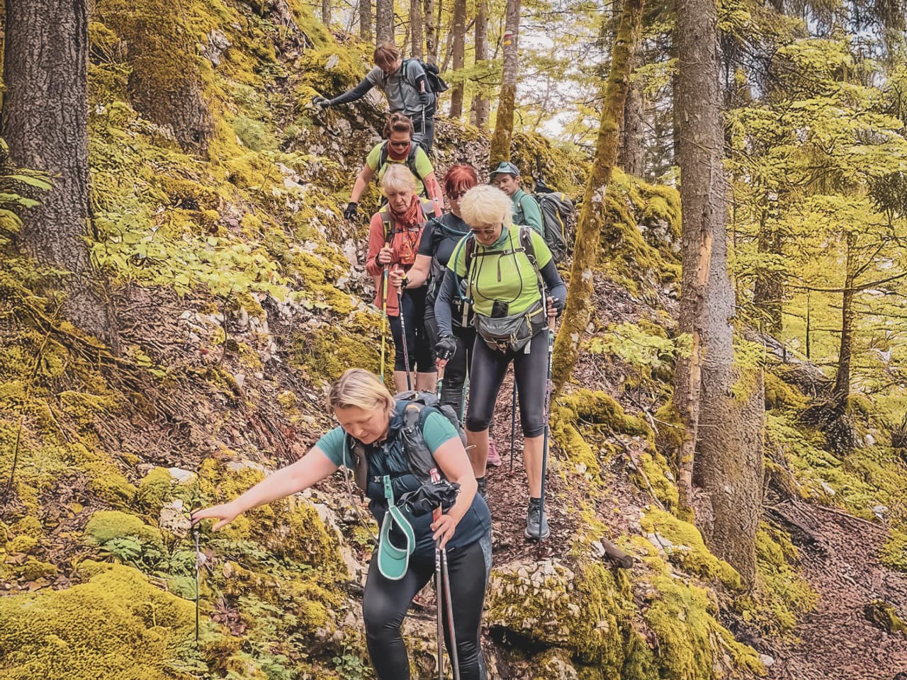 A group of hikers explore a green path in the Jura, surrounded by lush forests.