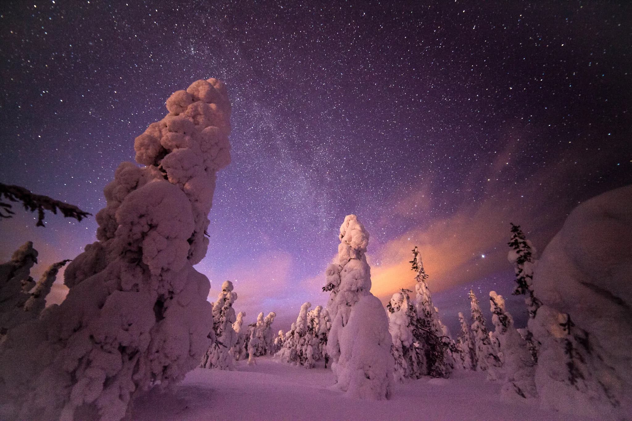 A snow-covered landscape with snow-covered trees rising towards a starry sky. The sky is illuminated by thousands of bright stars, with violet and red hues.
