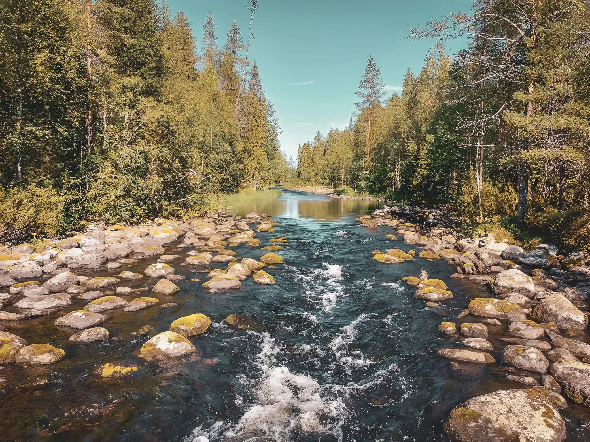The wild Oulanka river, lined with rocks and surrounded by lush green forests under a blue sky.