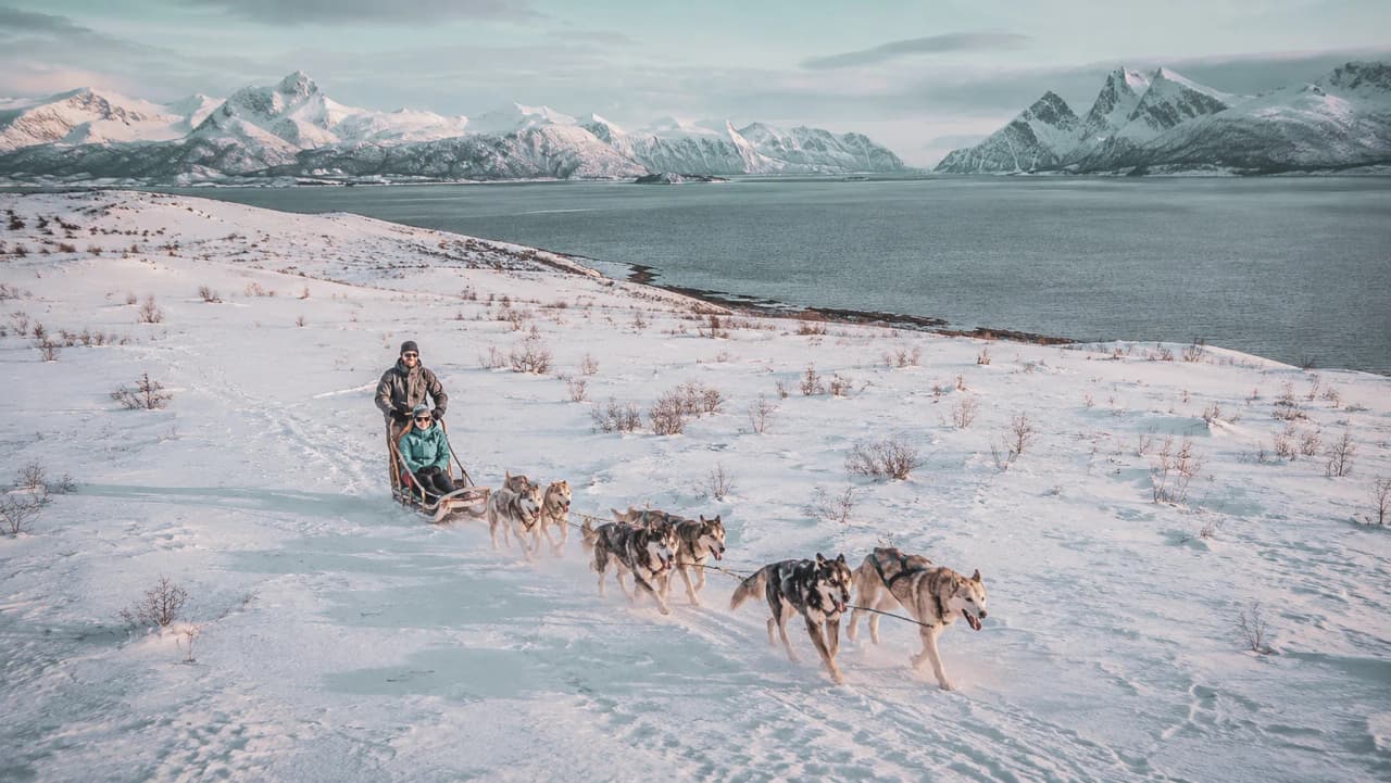 Een hondenslee glijdt over de sneeuw, met in de verte majestueuze bergen, in Lapland.