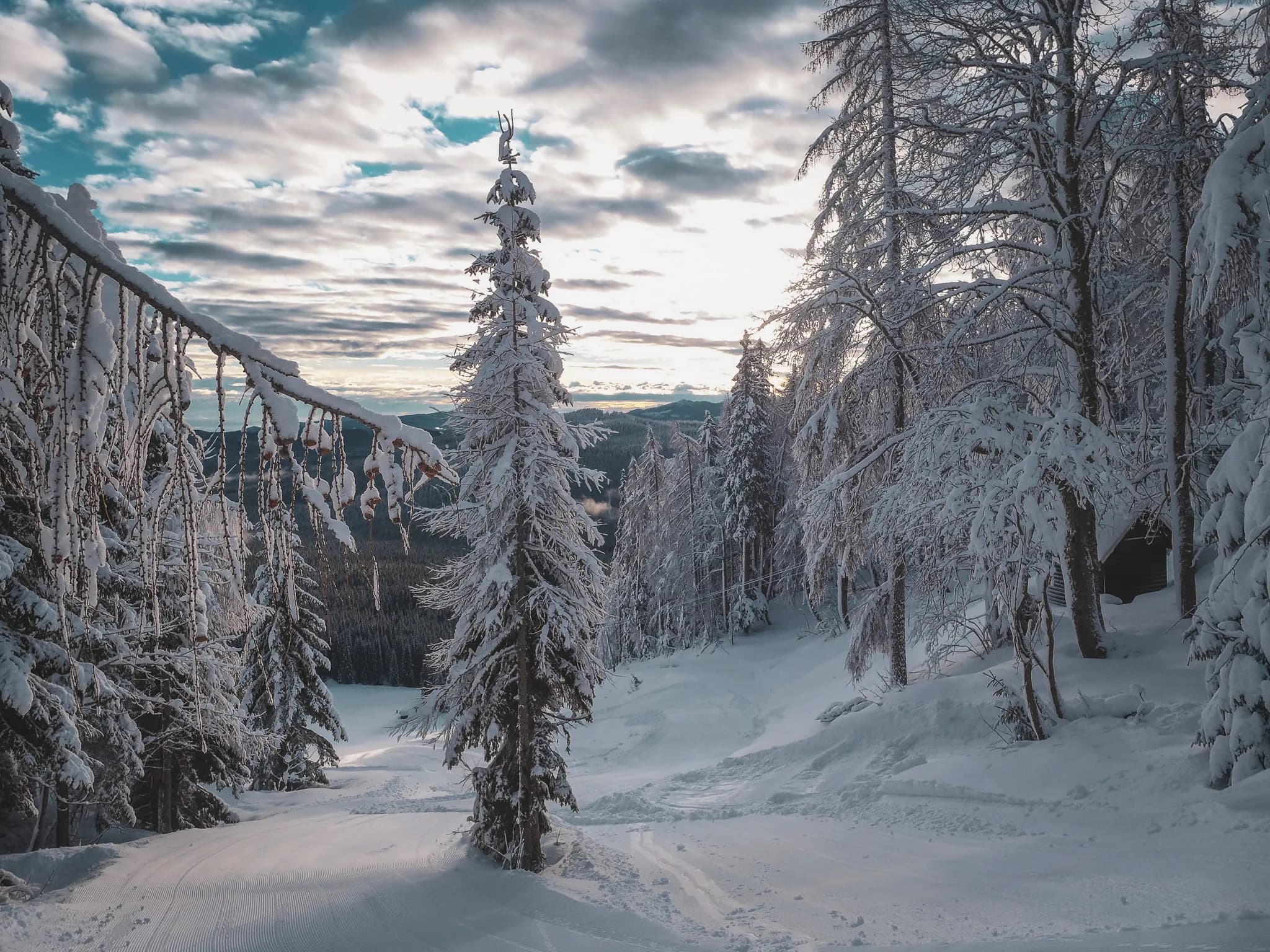 Forêt enneigée des Alpes juliennes, ciel dramatique et paysages de rêve pour une aventure en raquettes.