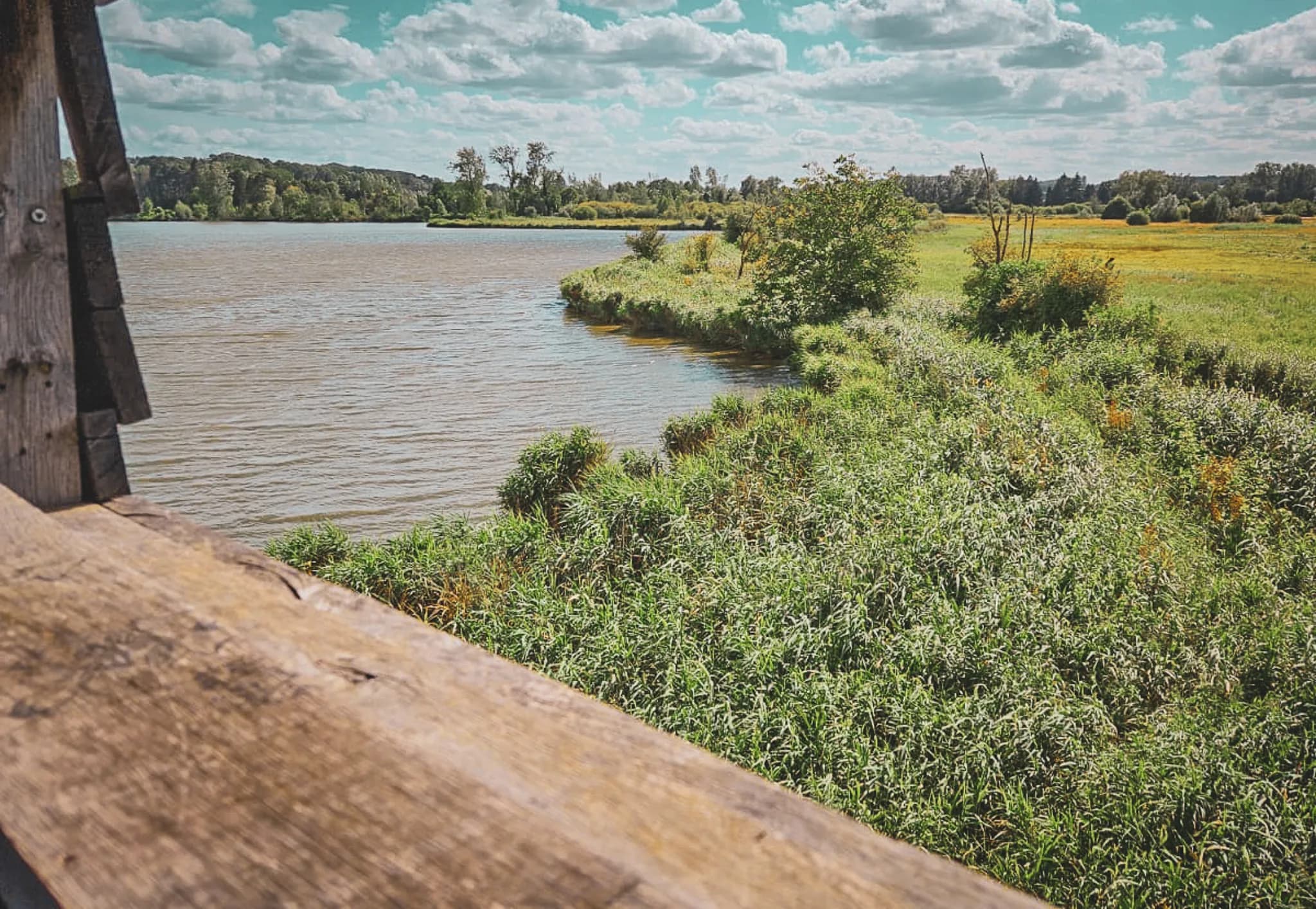 Vue apaisante d'une rivière bordée de verdure, idéale pour l'aventure en packraft.