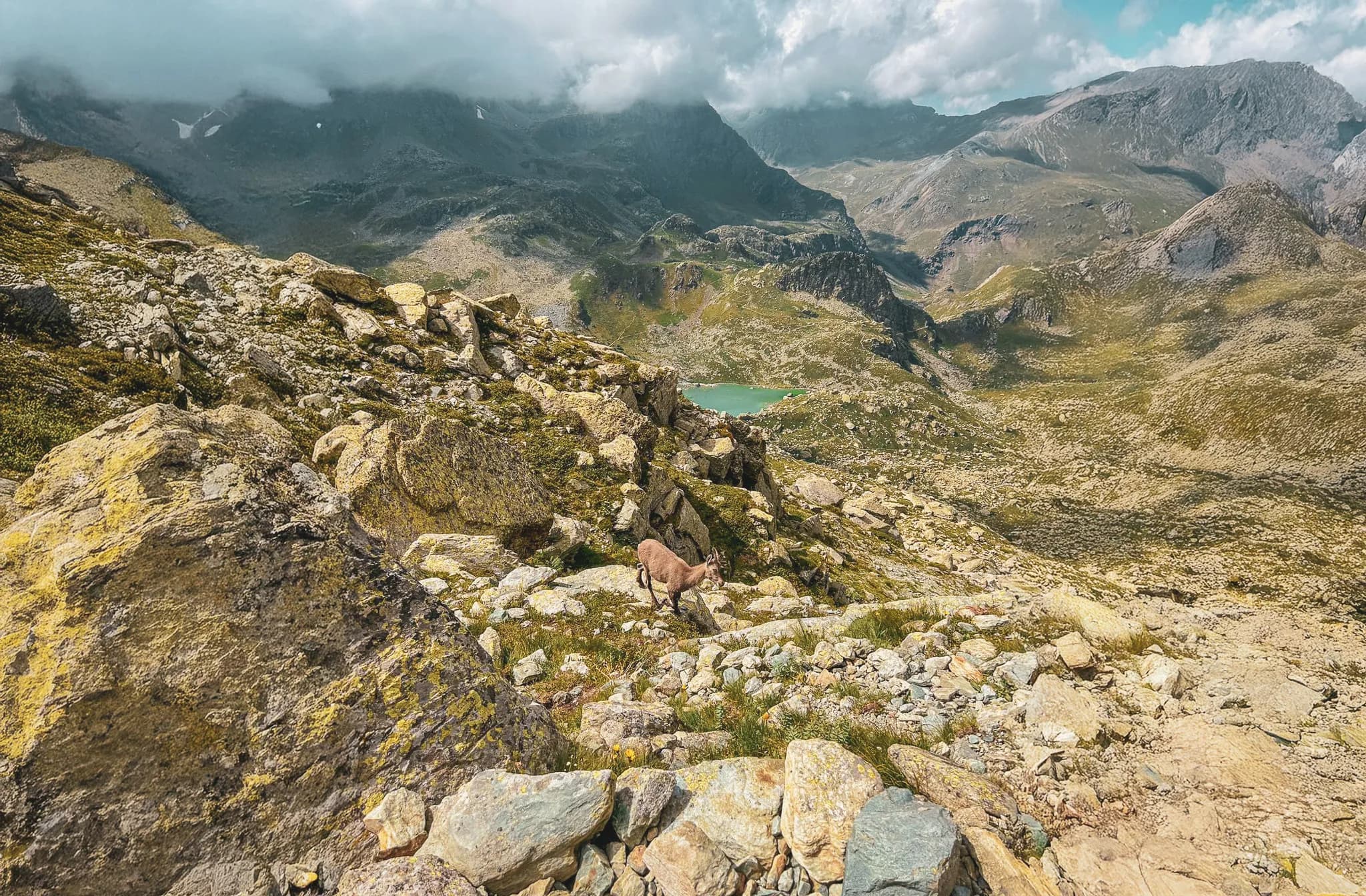 Panoramisch uitzicht op de berg Viso, turquoise meren en rotsachtige landschappen om te verkennen in het hart van de natuur.