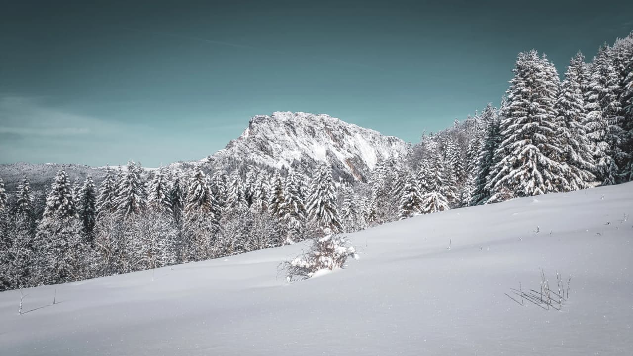 Panoramas enchanteurs des Bauges, forêts enneigées sous un ciel clair, invitation à l'évasion.