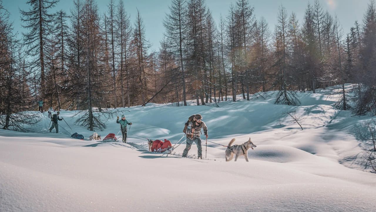 Een groep avonturiers op sneeuwschoenen die door de ongerepte sneeuw trekken onder een blauwe hemel, omringd door dennenbomen.