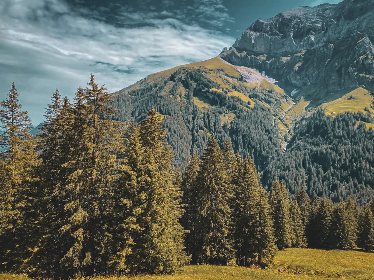 Majestic mountains, lush green forests and brilliant blue skies invite you to embark on an Alpine adventure.