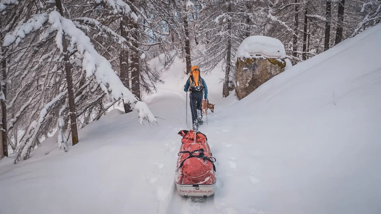 Een wandelaar trekt een slee door een prachtig besneeuwd landschap, omringd door dennenbomen.