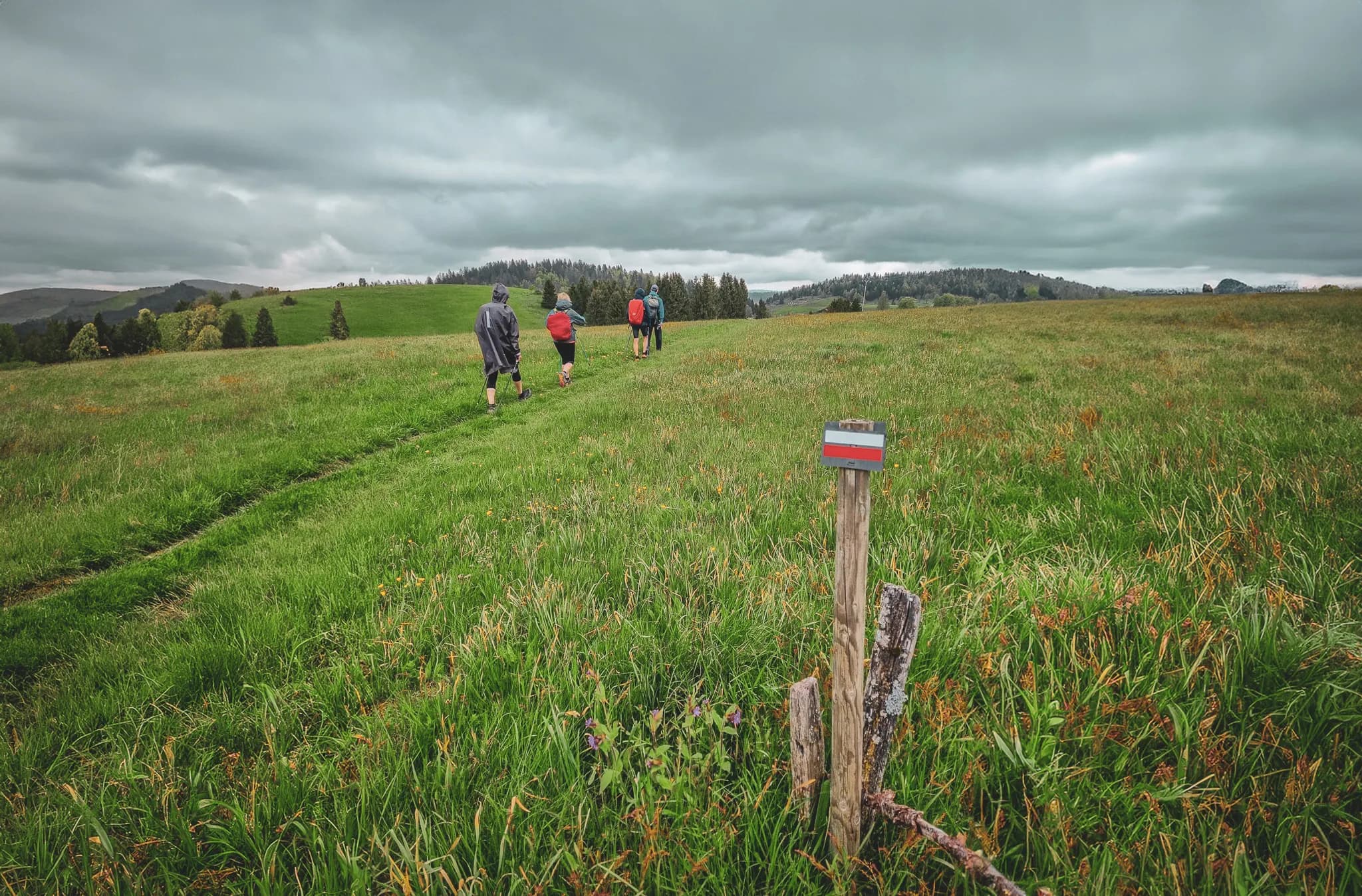 A group of people are walking along a grassy path, surrounded by vast green meadows under a cloudy sky. To the right, a wooden post marked in red, blue and white probably indicates a