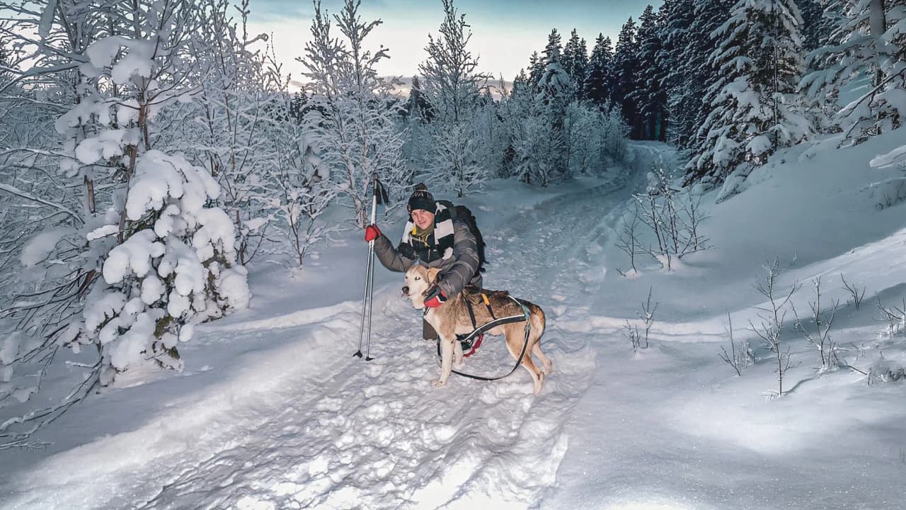 A man and a dog in the snowy landscape of Lapland, offering a wild and magical adventure.