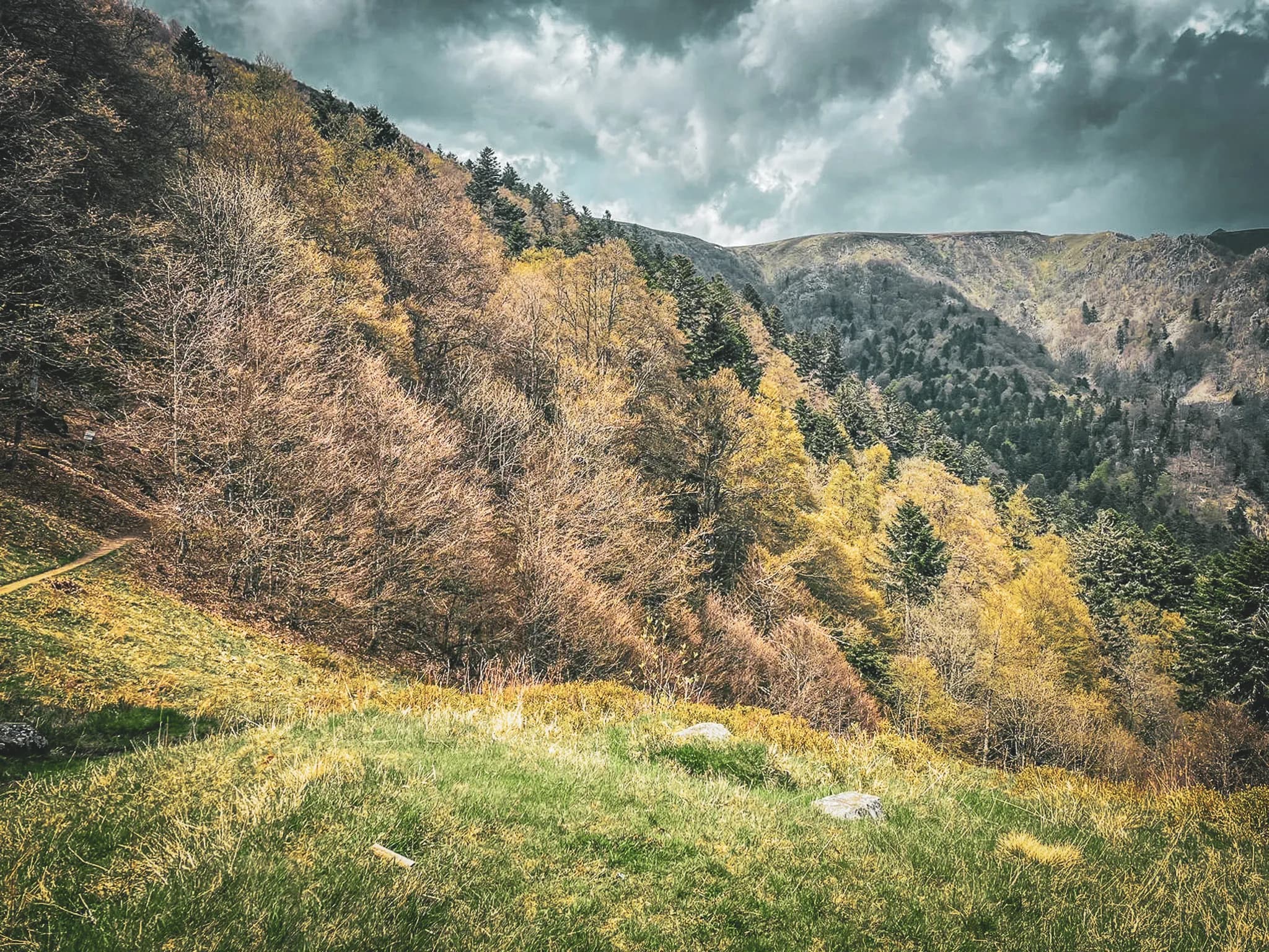 The lush green landscape of the Vosges promises trail adventures between hills and forests.