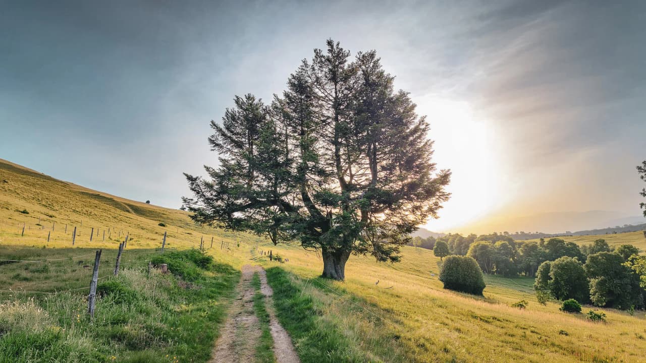 Magnificent panoramic views of the Vosges, between green mountains and clear skies. Nature escape guaranteed!
