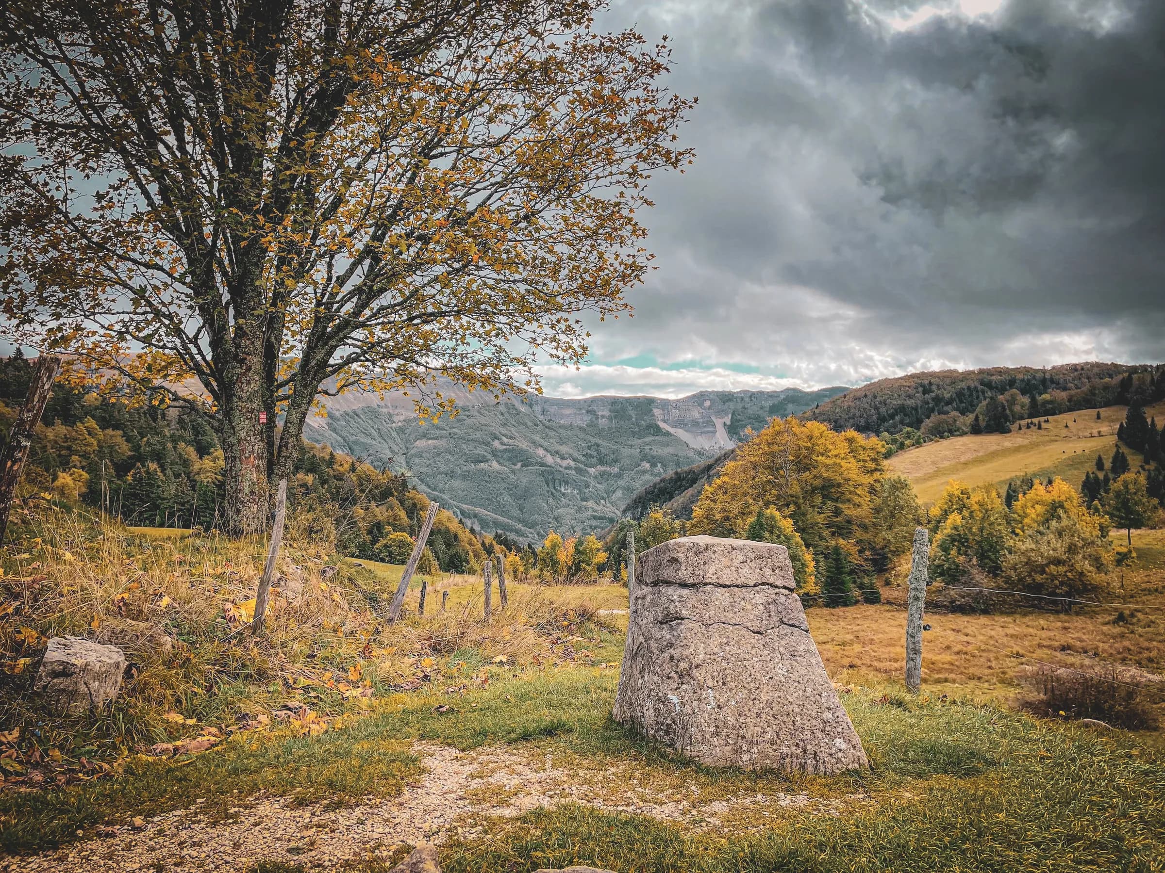 A mountainous landscape with panoramic sea views. Lush green hills are dotted with dense trees, while a winding path crosses the terrain. White rocks are scattered across the