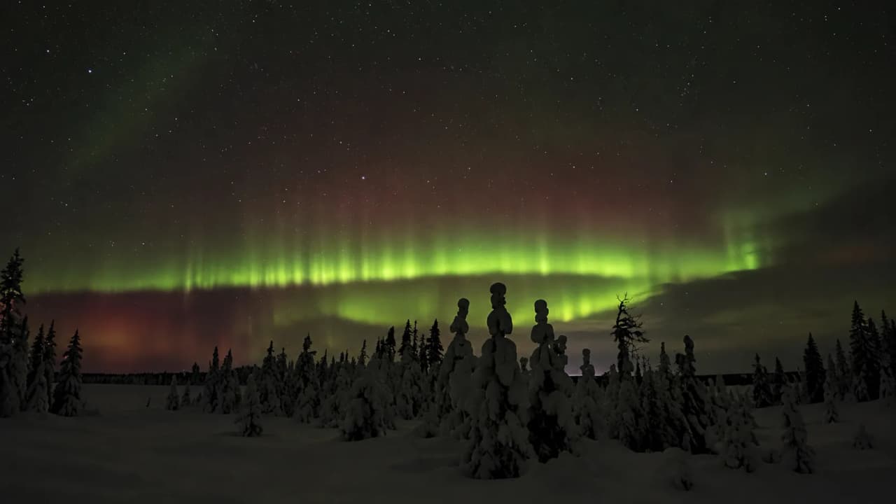 Aurores boréales illuminant un paysage enneigé et sylvestre de Laponie Suédoise. Magique !