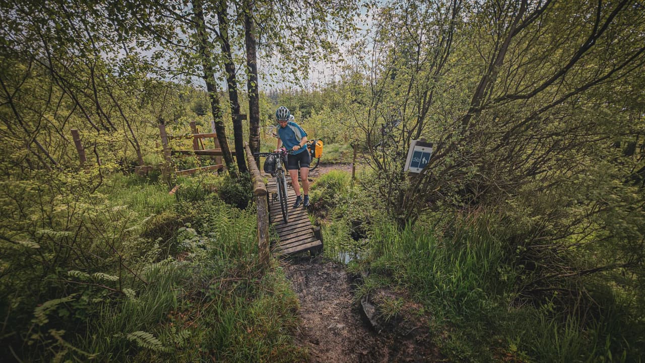 Een fietser steekt een houten bruggetje over, omgeven door groen en vredige natuur.