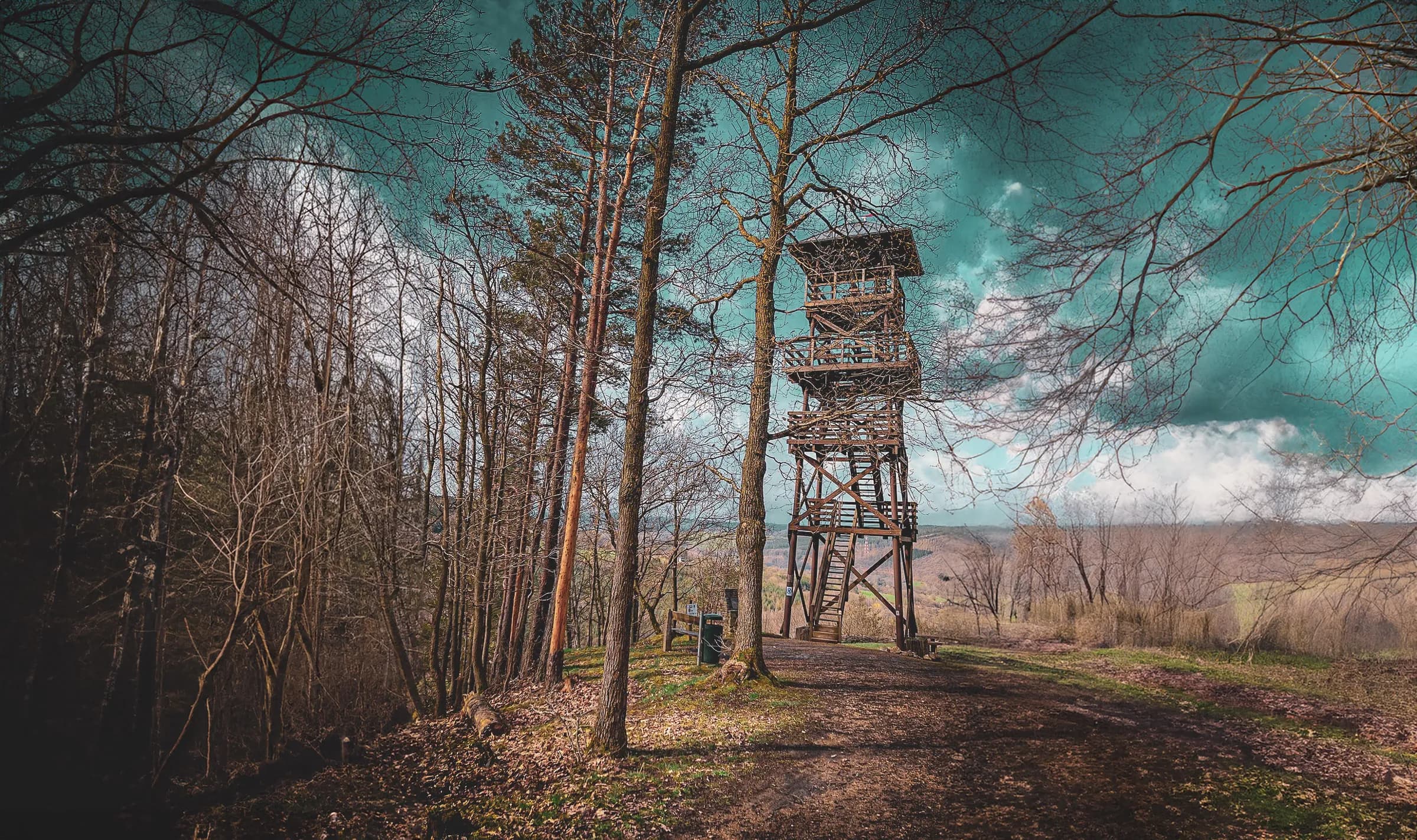 Een houten uitkijktoren wordt omringd door bomen in een weelderig natuurlijk landschap. De takken van de bomen zijn ontdaan van bladeren en onthullen een lucht met blauwe tinten en wolken. Bezoek