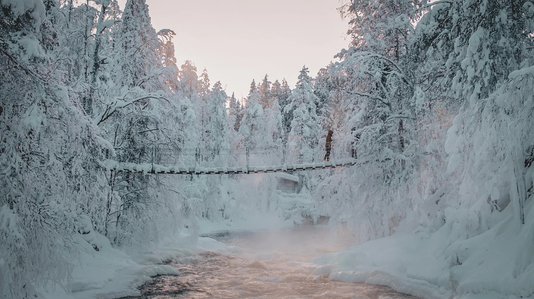 A wooden suspension bridge crosses a tumultuous river surrounded by a snow-covered forest. The snow-laden trees create a magical atmosphere at sunrise, when soft hues appear in the sky.