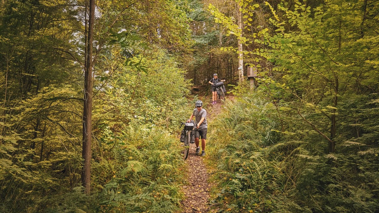 Two cyclists explore a leafy forest trail in the Ardennes. Nature adventure in sight!