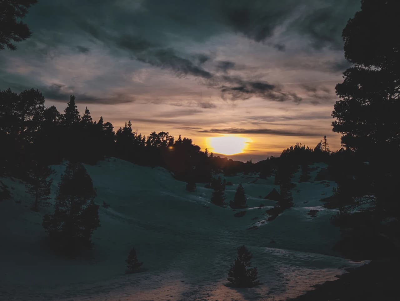 Sunset on the snow, silhouettes of trees, the serene atmosphere of the wild Vercors.