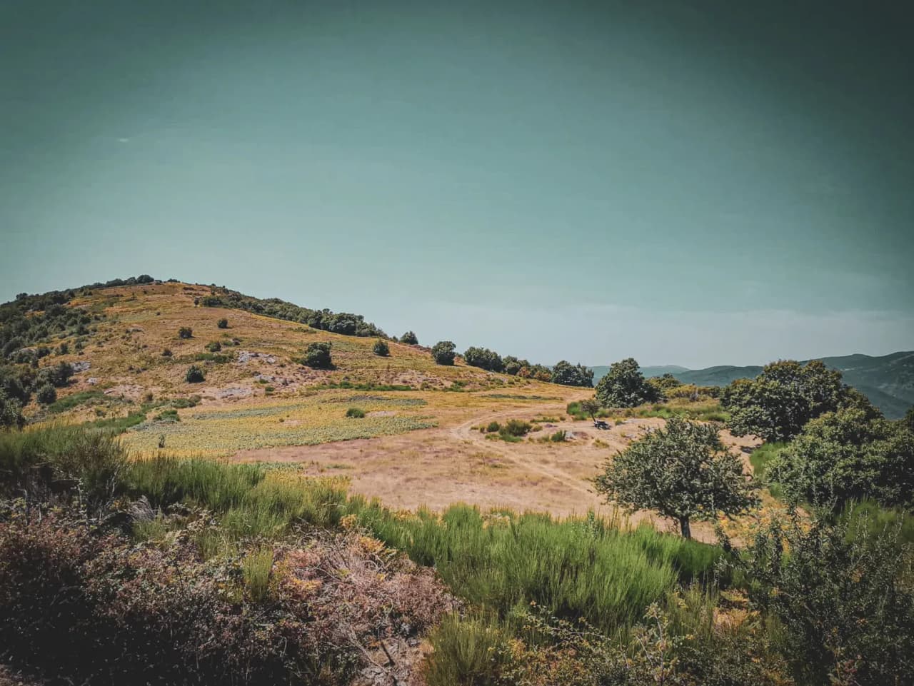 Het schilderachtige landschap van de Cevennen, de glooiende groene heuvels en azuurblauwe luchten nodigen uit tot avontuur.