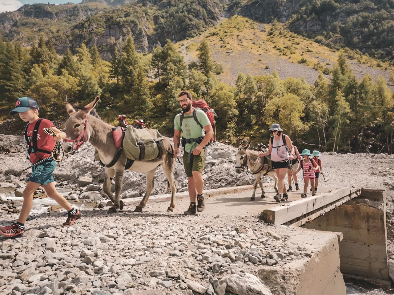 A family hike with donkeys in the Écrins, in the heart of the Alpine landscapes.