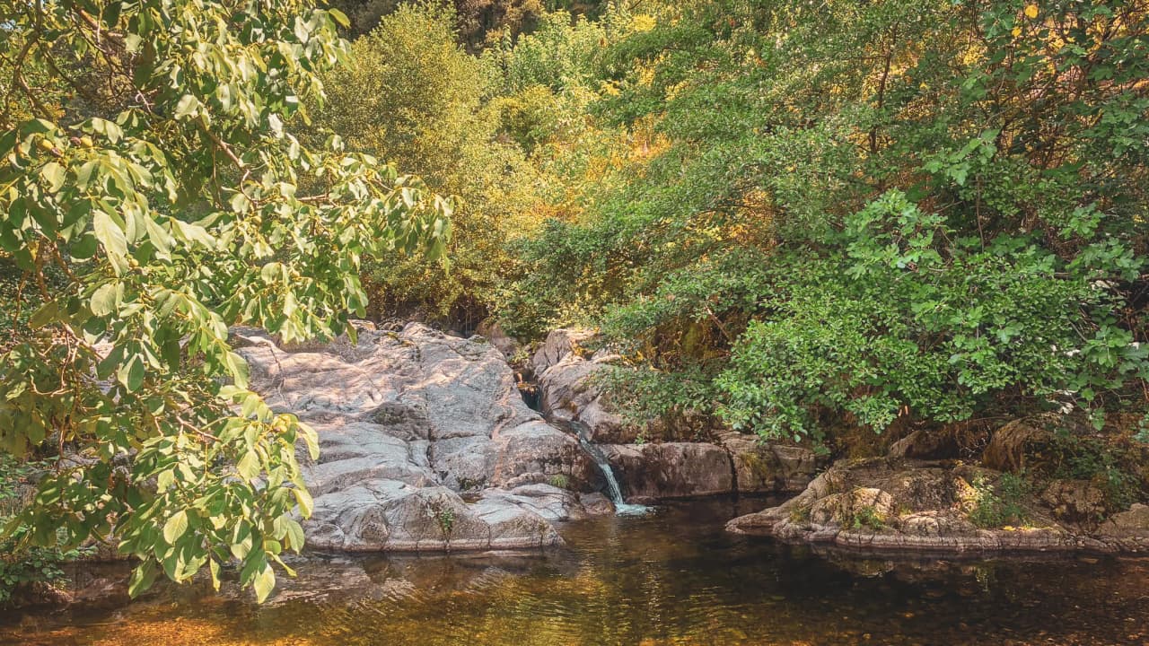 Un coin paisible des Cévennes, avec une eau cristalline et des rochers entourés de verdure luxuriante.