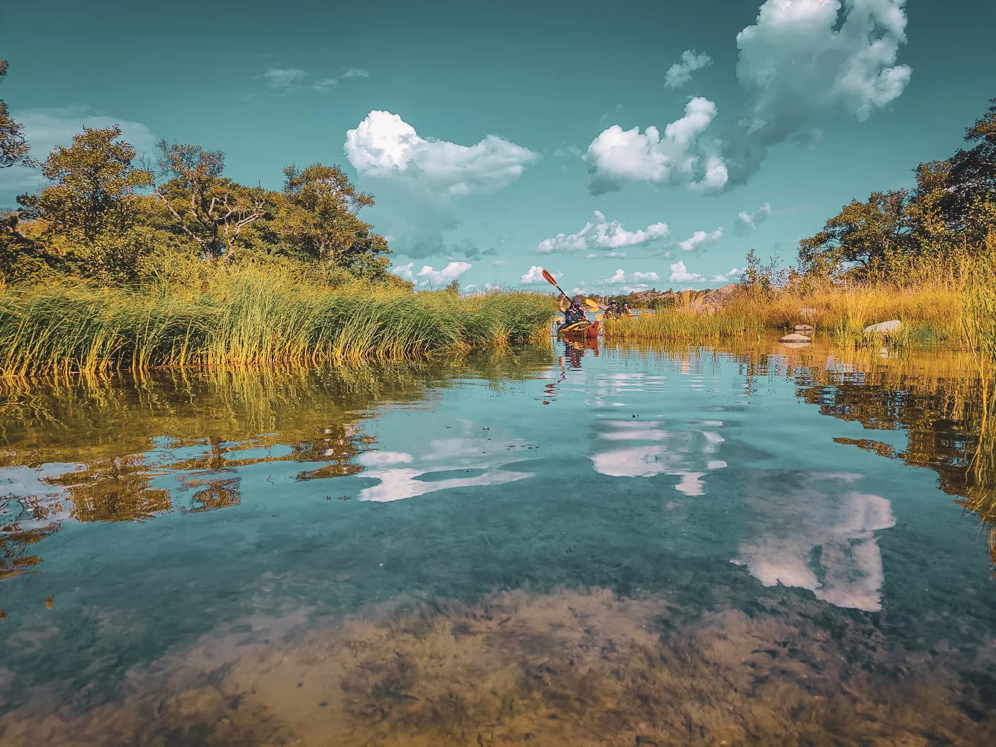A lush riverside landscape, with tall grasses and green trees along the banks. The sky is clear, dotted with brilliant white clouds. The calm water reflects