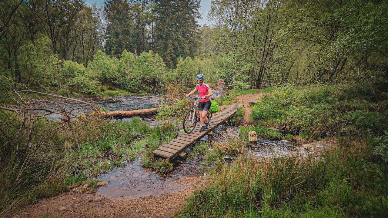 Een fietser gaat over een houten brug midden in het groen, in het hart van de Hoge Venen.