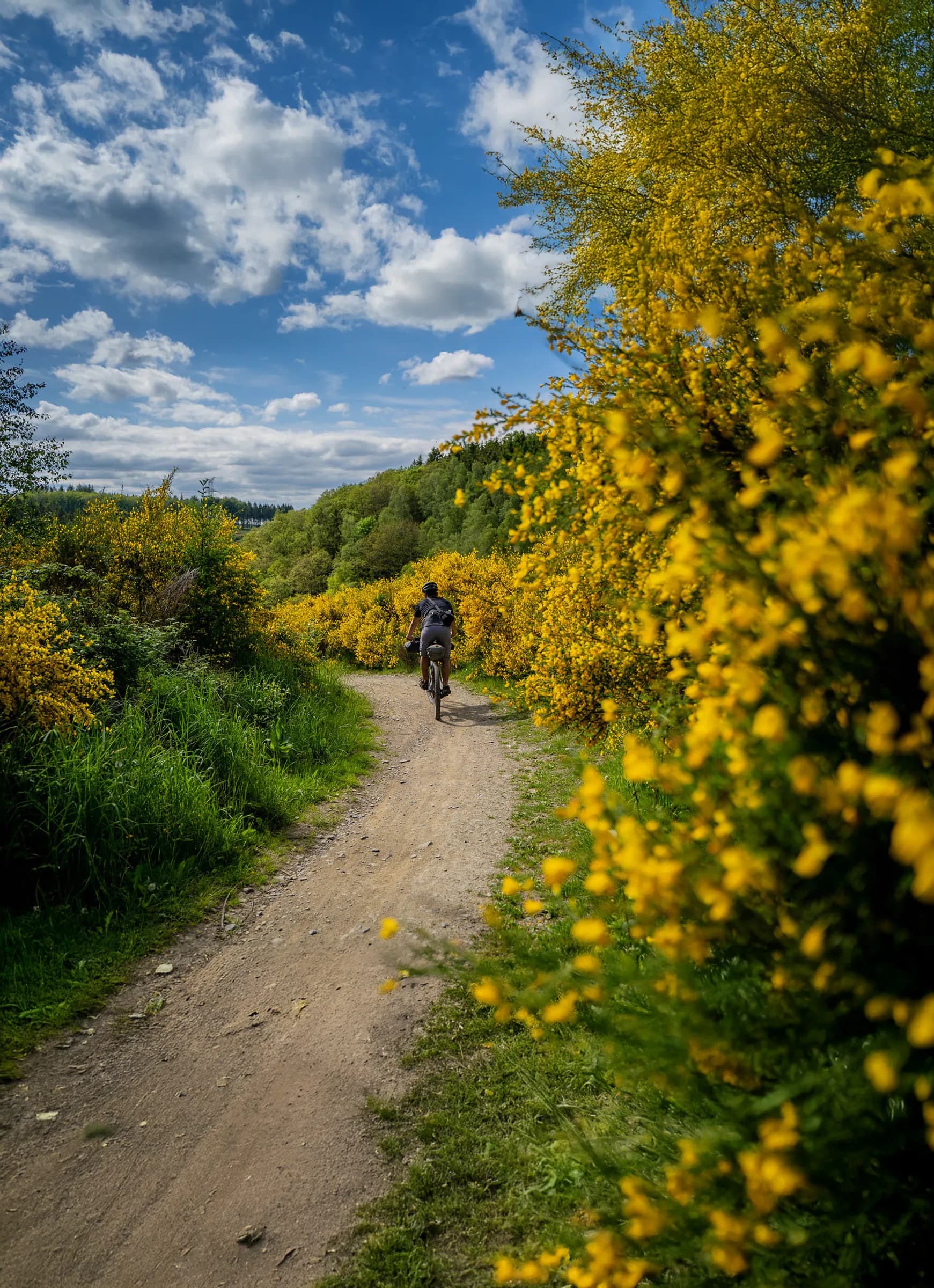 Randonnée à vélo dans la vallée de l’Ourthe, au cœur de l'Ardenne