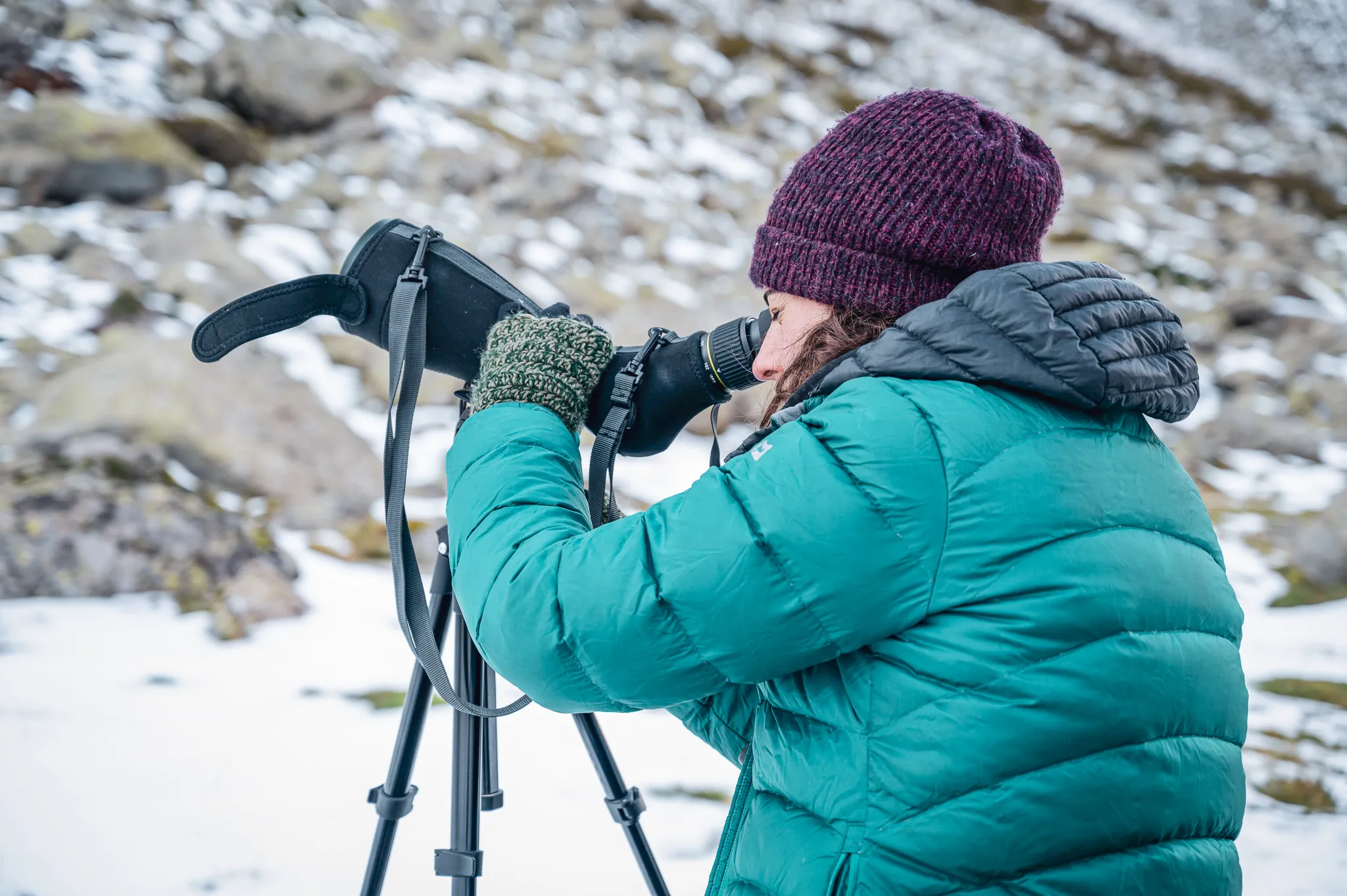 One person observes wildlife through a telescope in the heart of the snow-capped mountains.