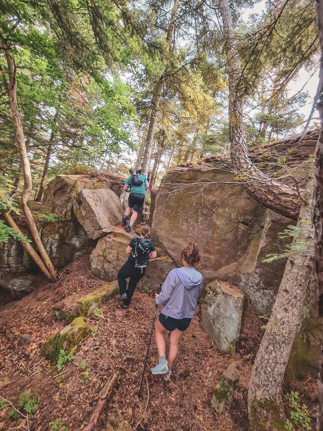 Drie wandelaars beklimmen rotsen in een weelderig bos, omringd door rustgevende natuur.