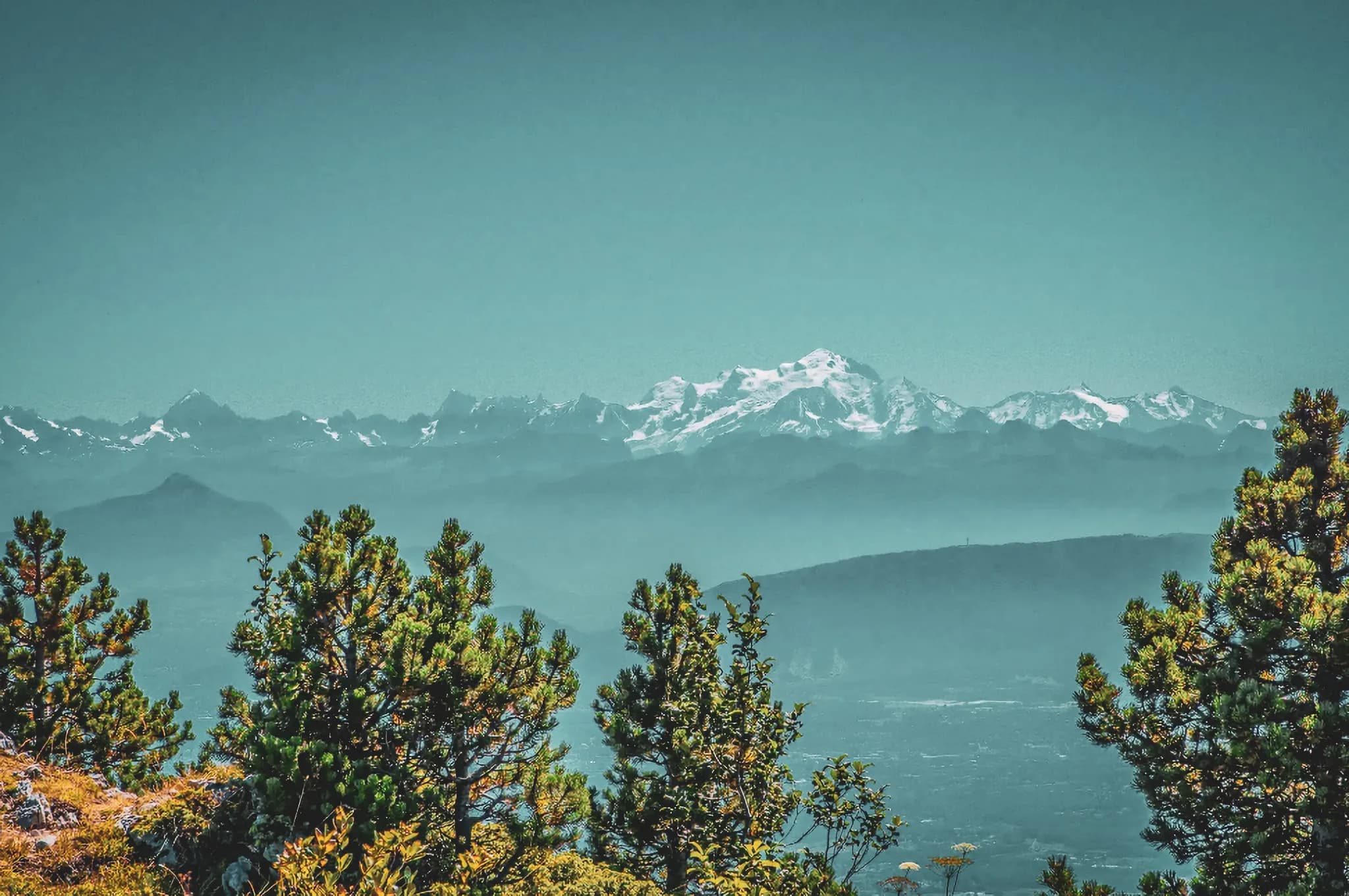 A mountain landscape with snow-capped peaks in the background and a misty atmosphere. Green trees, mainly conifers, stand out in the foreground, creating a beautiful contrast with the sky.