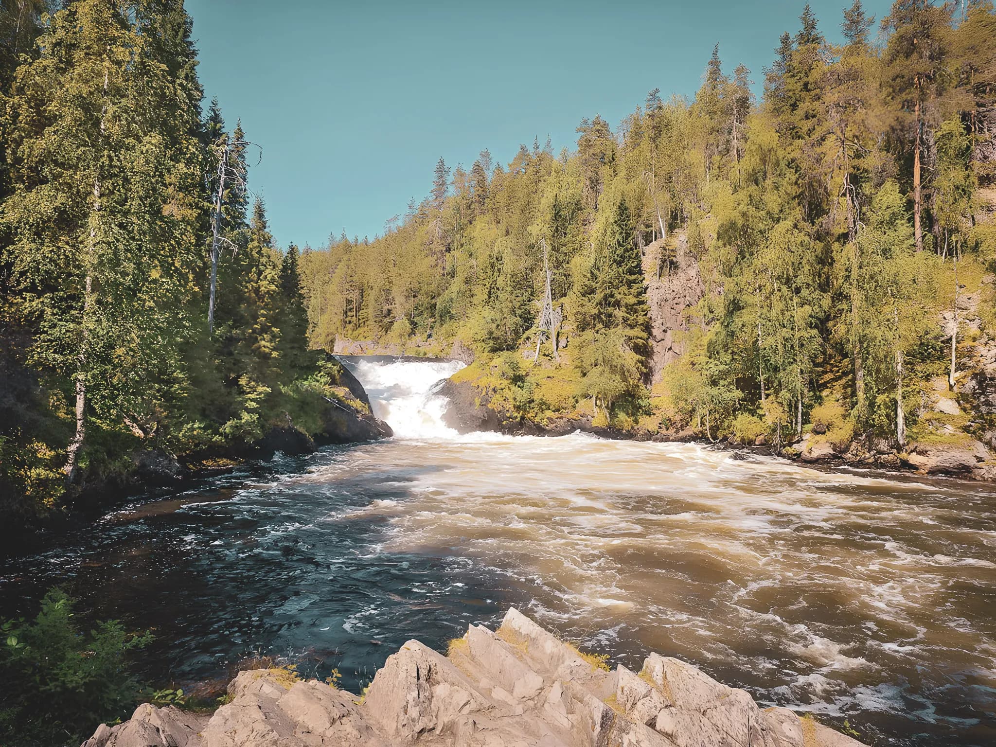 A wild river surrounded by lush forests and dazzling rapids, inviting adventure.