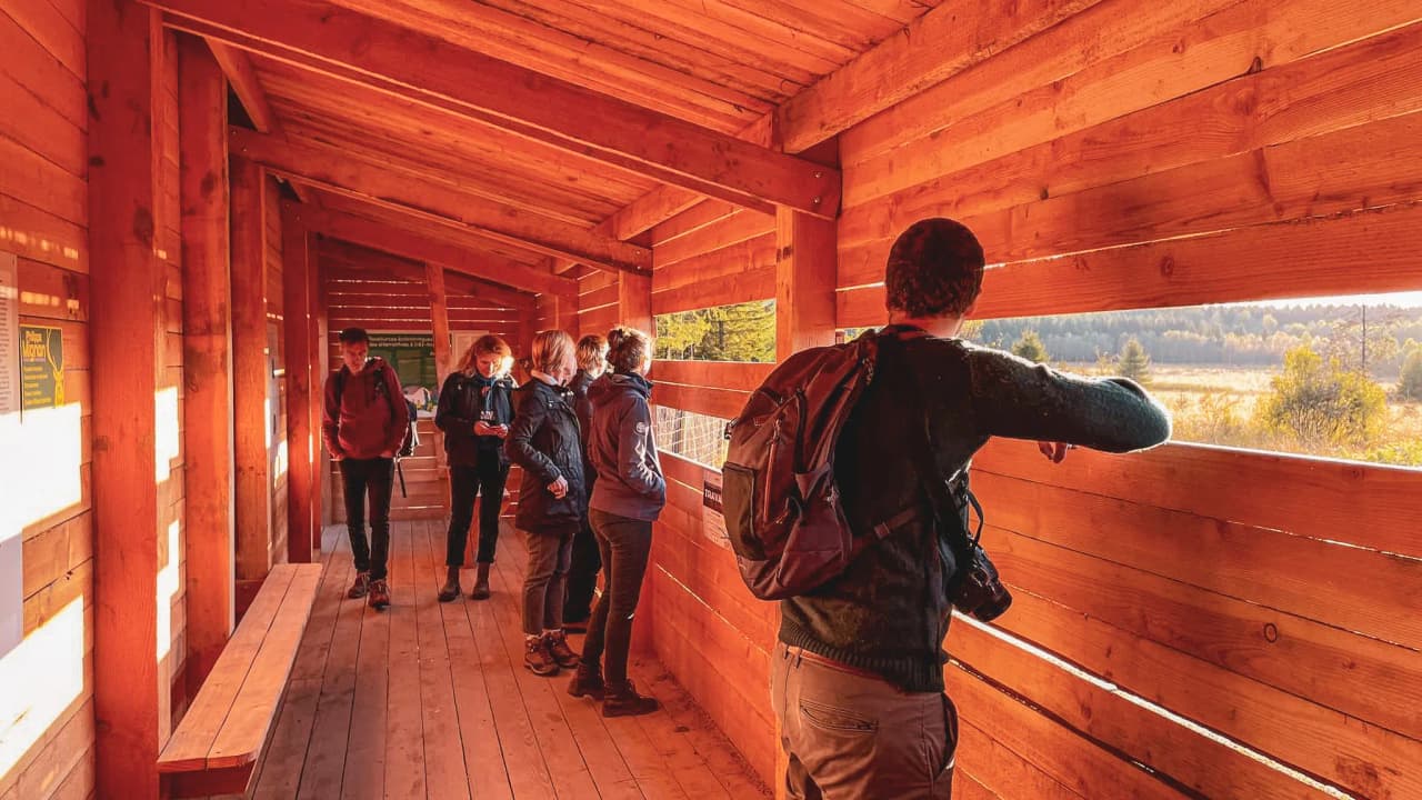 Un groupe de personnes observe la nature à travers de grandes fenêtres en bois, Enthousiasme et aventure en Ardenne.