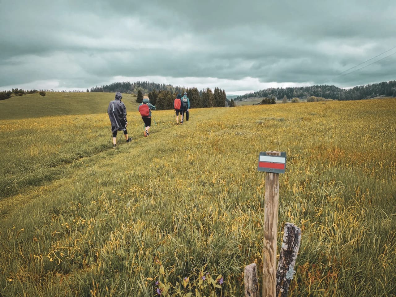 A group of hikers walk through a green field under a cloudy Jura sky.