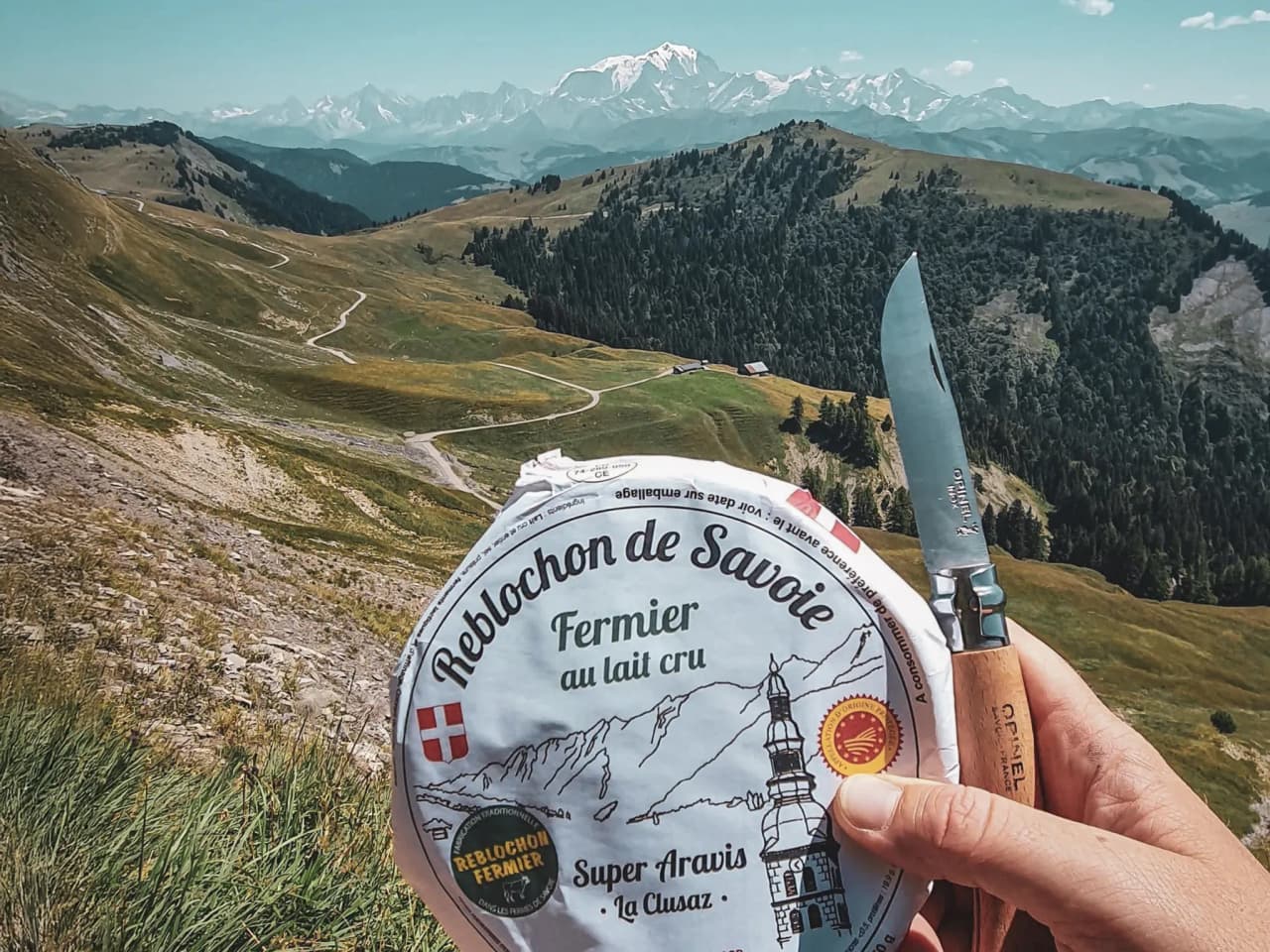 Vanaf een schilderachtig uitzichtpunt op de bergen houdt een hand Reblochon kaas en een mes vast, met uitzicht op weelderige valleien en bergtoppen.