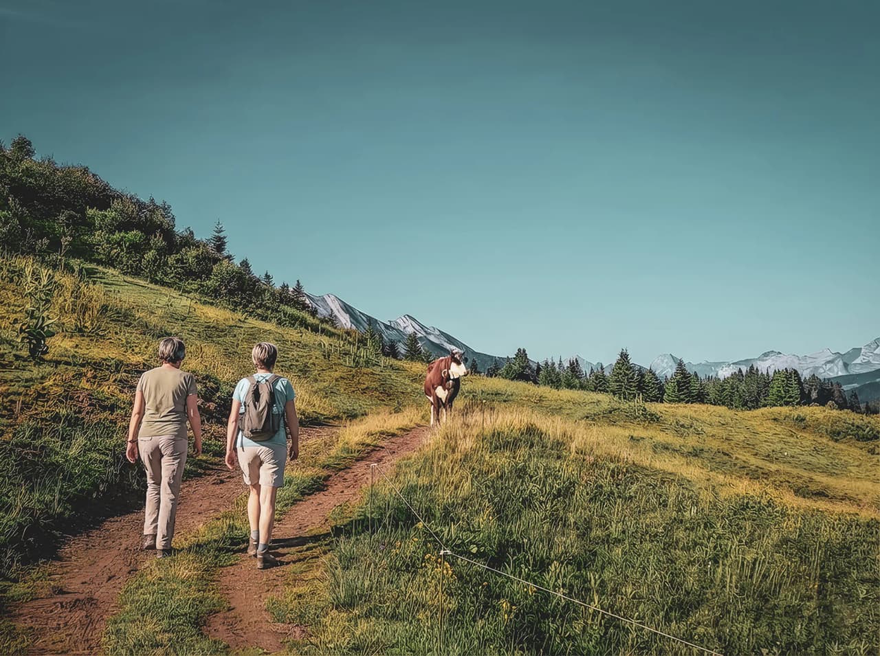 Twee wandelaars volgen een alpenpad, omringd door weelderige groene landschappen en majestueuze bergen.