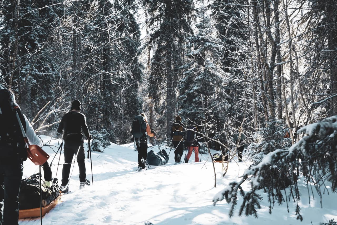 Groupe d'aventuriers en raquettes, progressant dans une forêt enneigée et lumineuse.