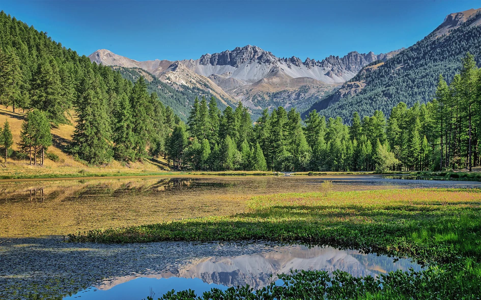 A remarkable natural landscape with a calm lake in the foreground, reflecting the blue sky and surrounding mountains. The shores of the lake are surrounded by lush vegetation, including green conifers and areas of