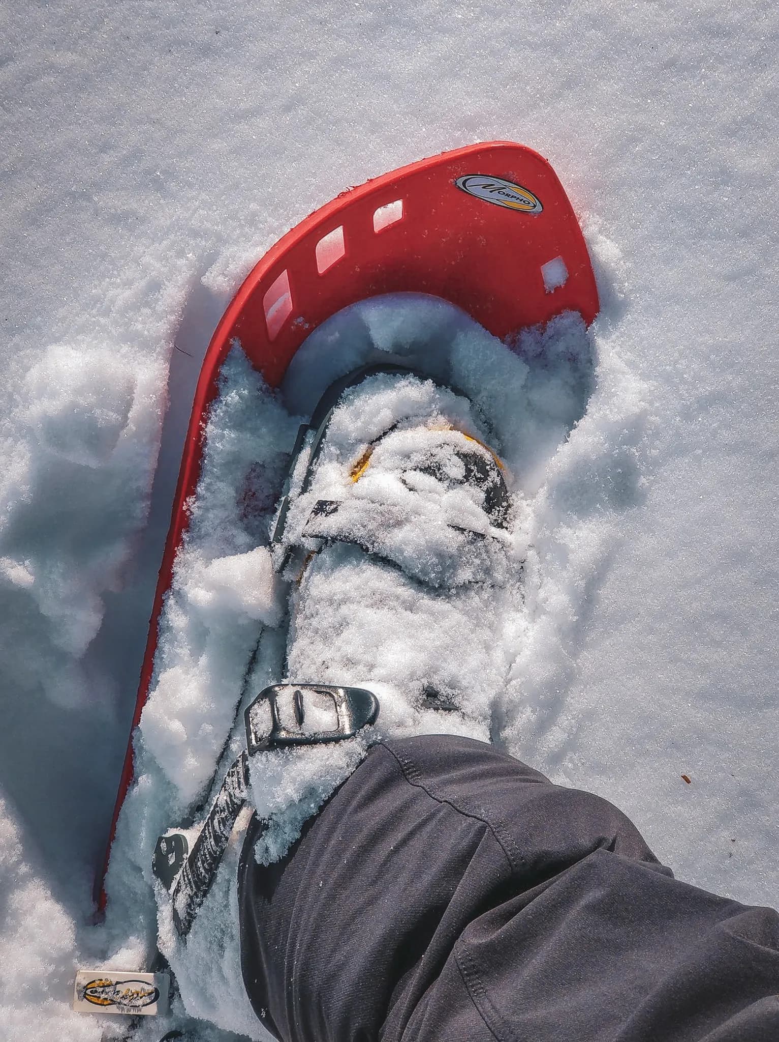 Un pied chaussé de raquette à neige s'enfonce dans la poudreuse des Alpes juliennes.