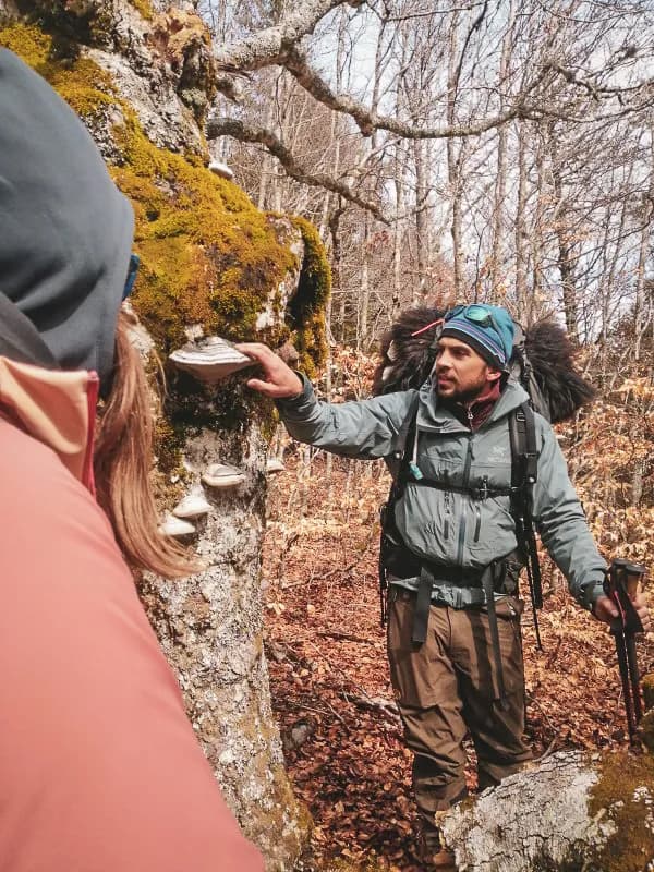 Een gids geeft uitleg over de natuur in de Vercors, omringd door bossen en paddenstoelen, bushcraft onderdompeling.
