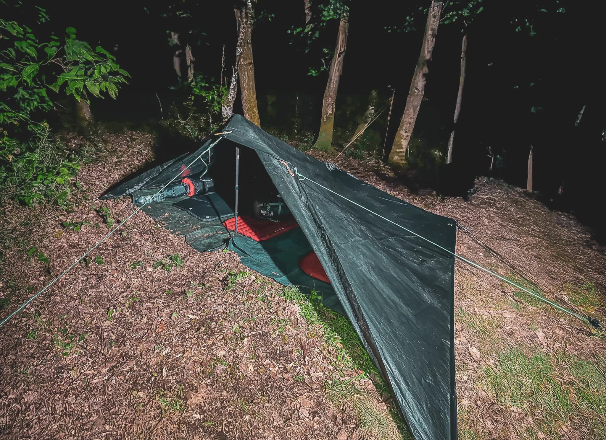 A bivouac tent set up under the trees, a peaceful atmosphere in the middle of the forest at night.