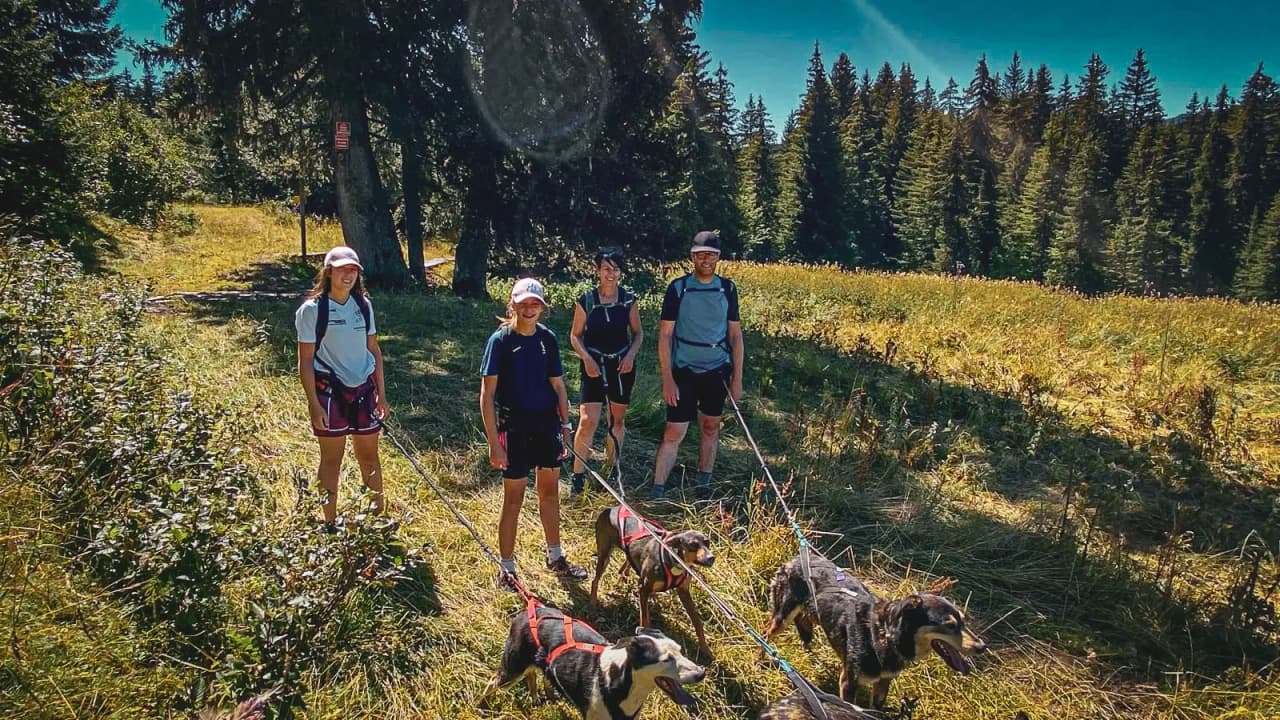 Een groep avonturiers op een cani-rando, omringd door de natuur in Zweeds Lapland, met een glimlach en gelukkige honden.