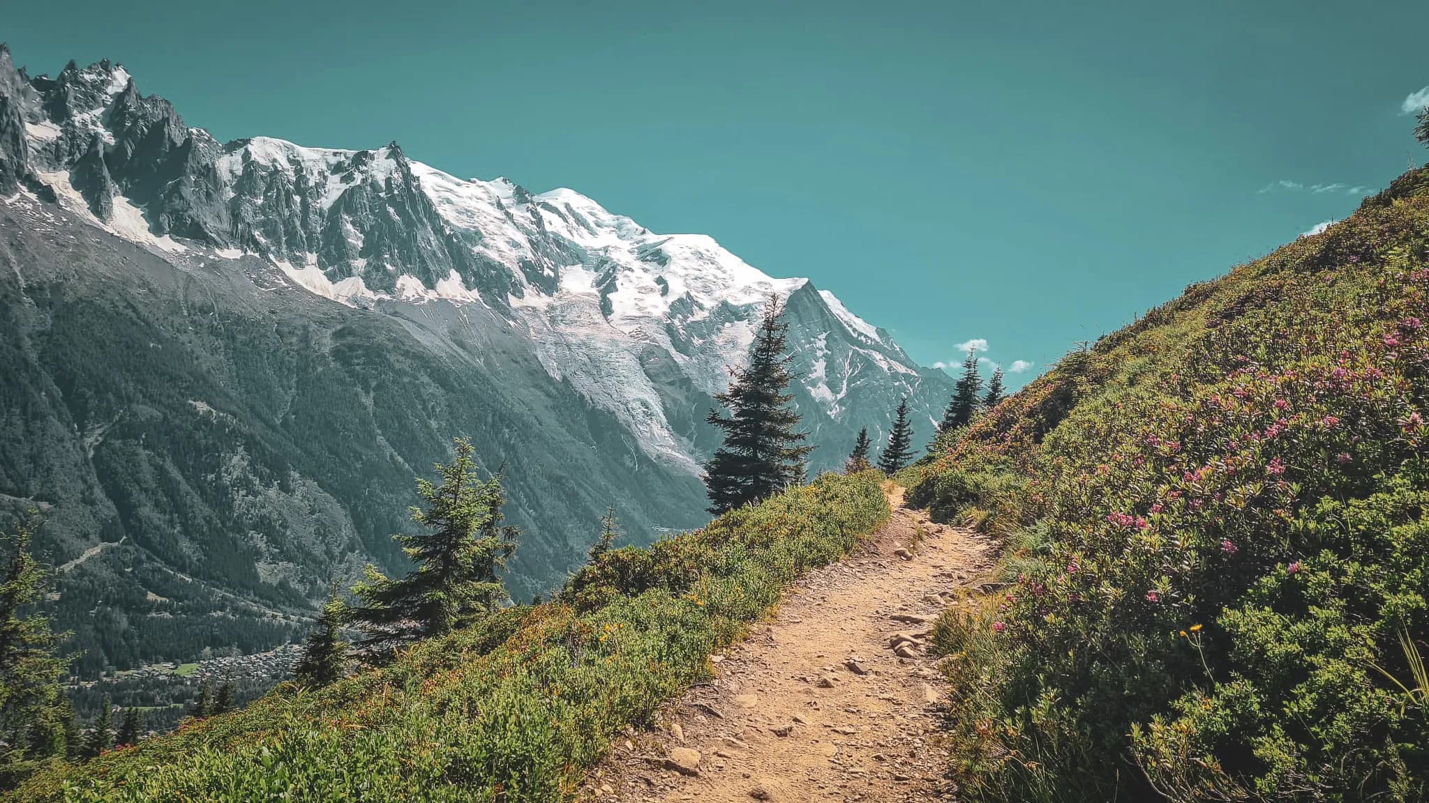 Sentier en montagne, bordé de fleurs, avec des sommets enneigés sous un ciel bleu éclatant.