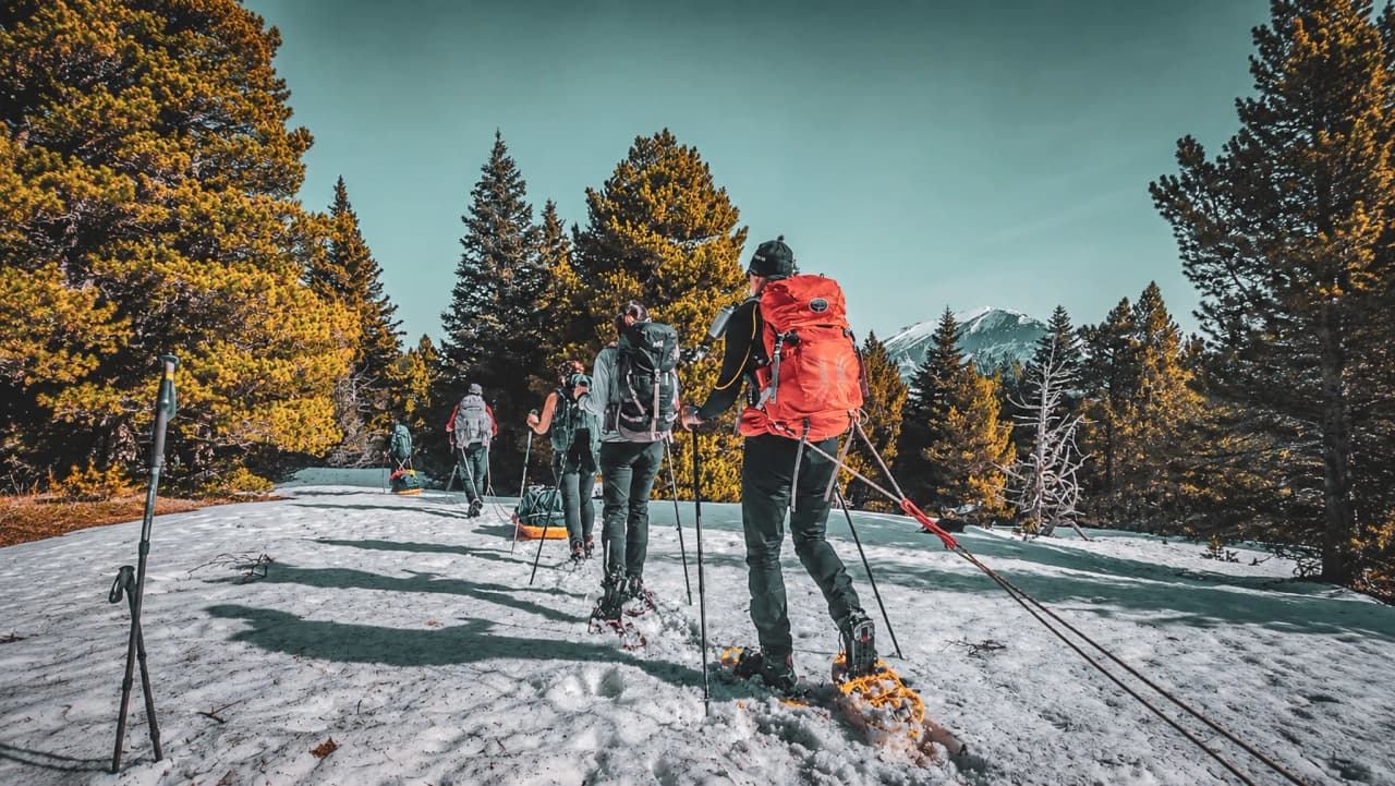 Groupe de randonneurs en raquettes sur la neige, avec un paysage montagneux en arrière-plan.