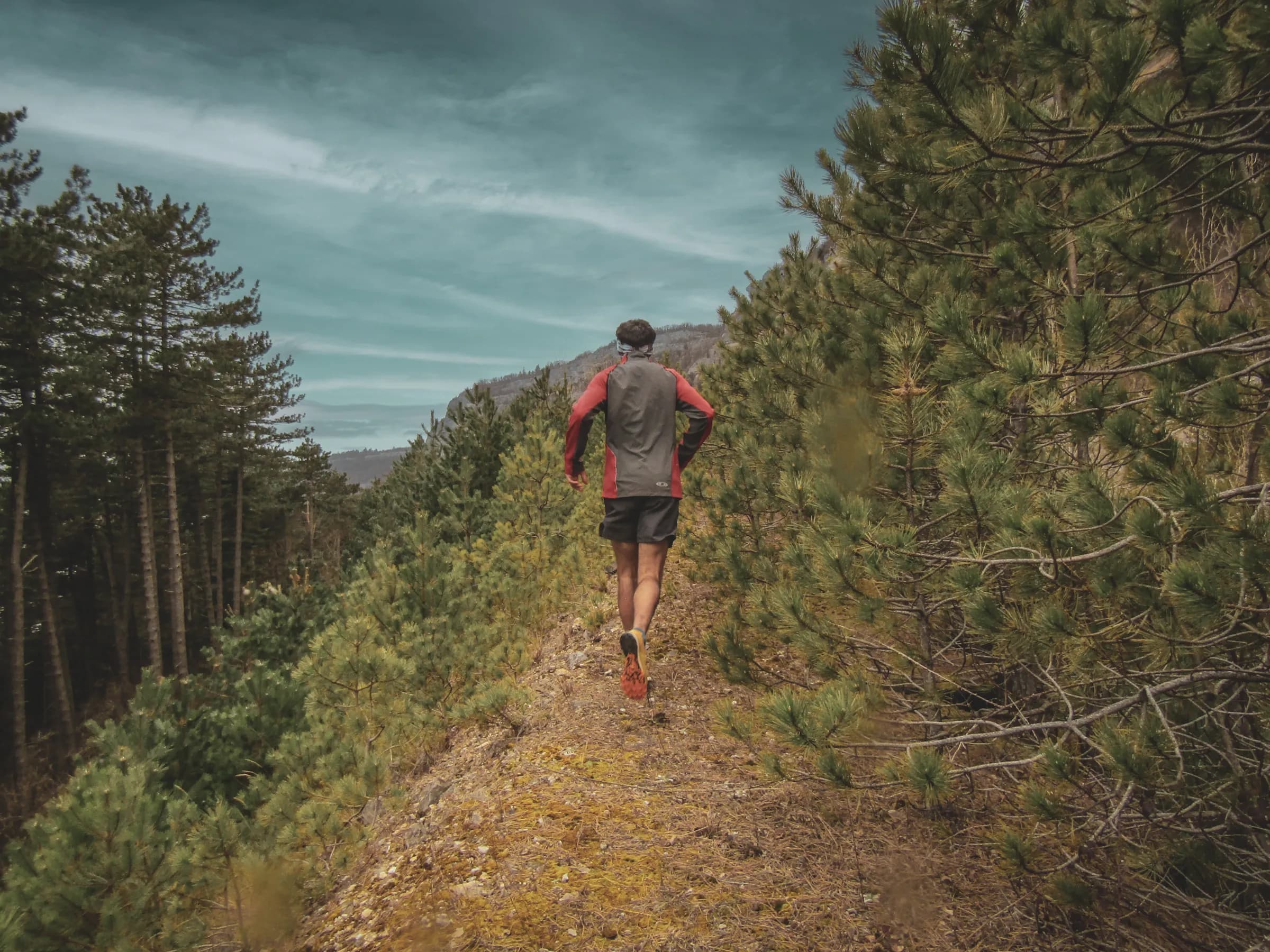Un coureur s'élance sur un sentier forestier des crêtes du Haut-Jura, entre pins verdoyants.
