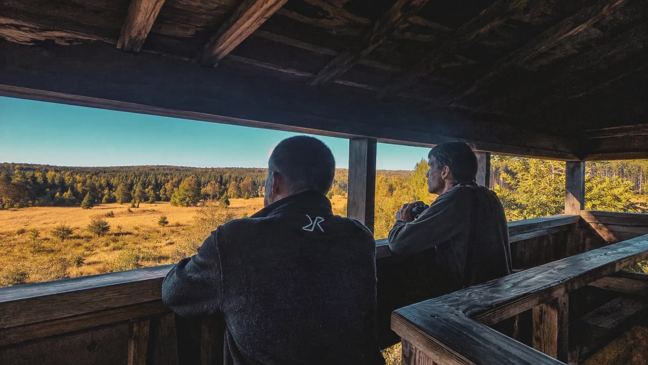 Deux personnes admirent un paysage forestier depuis un mirador, prêt à écouter le brame du cerf.