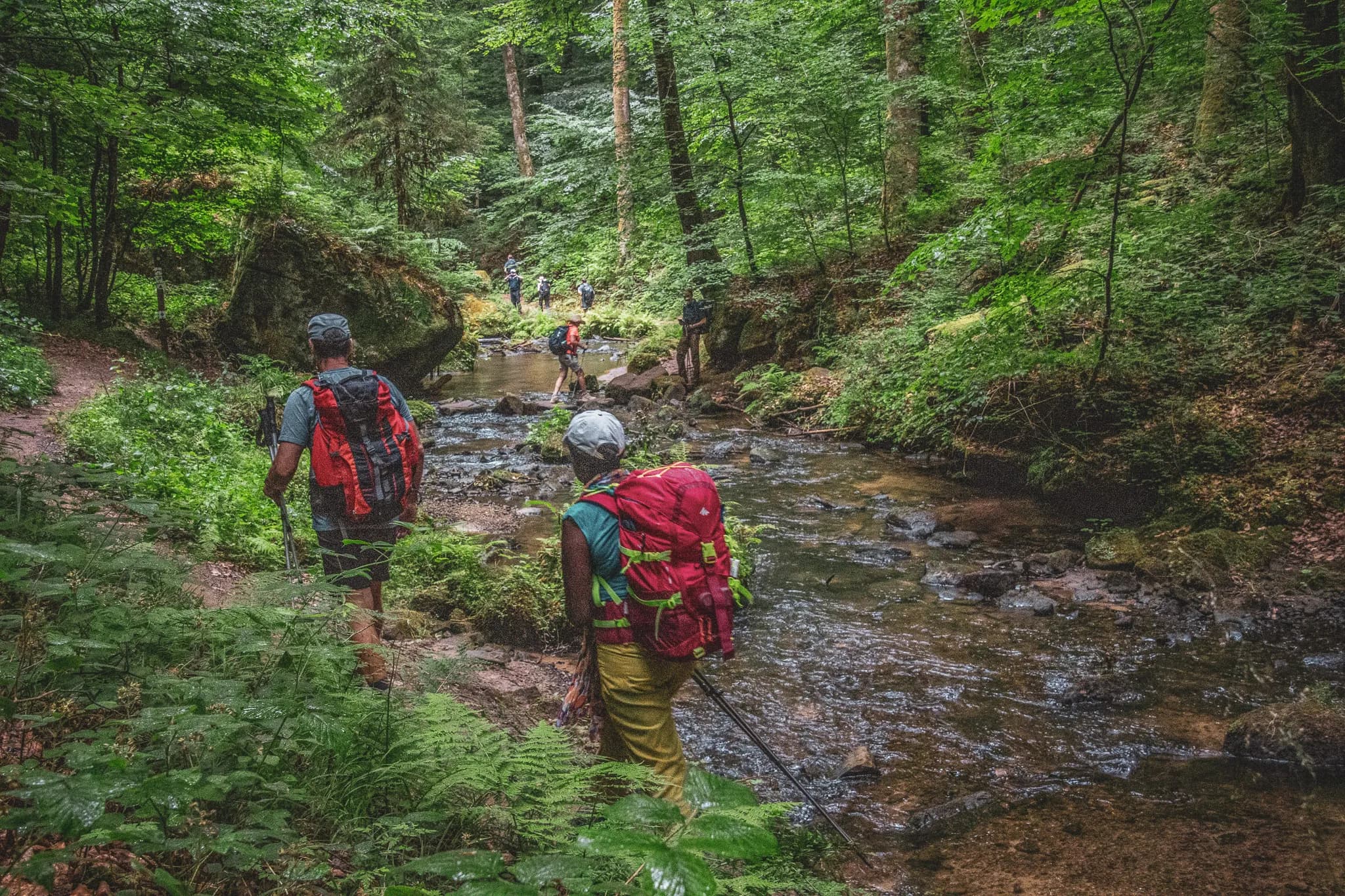 Hikers exploring Luxembourg's verdant Little Switzerland along a peaceful stream.