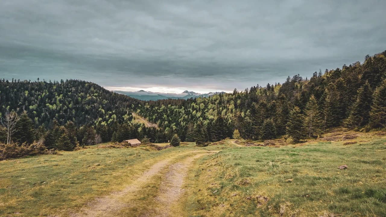 Un chemin sinueux mène à travers des collines verdoyantes sous un ciel nuageux dans les Pyrénées.