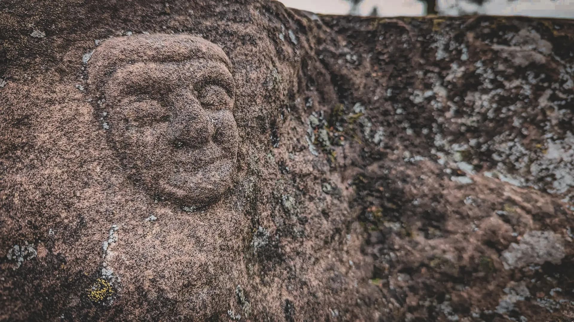 A face sculpted in stone, surrounded by the wilderness of the Vosges mountains, inviting you to explore.