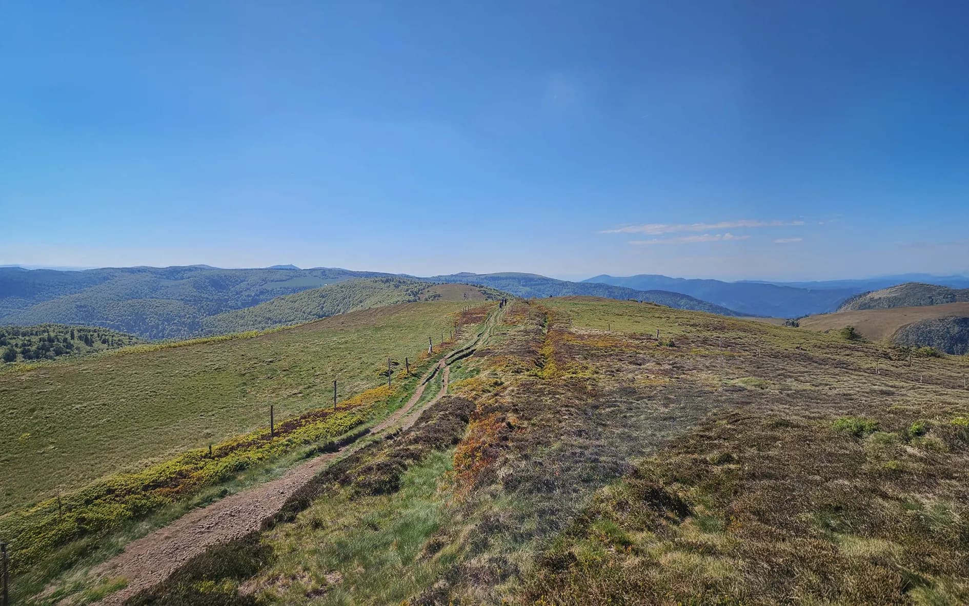 Un sentier serpente à travers des paysages verdoyants sous un ciel bleu éclatant dans les Vosges.